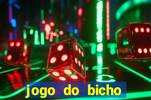 jogo do bicho tipos de apostas